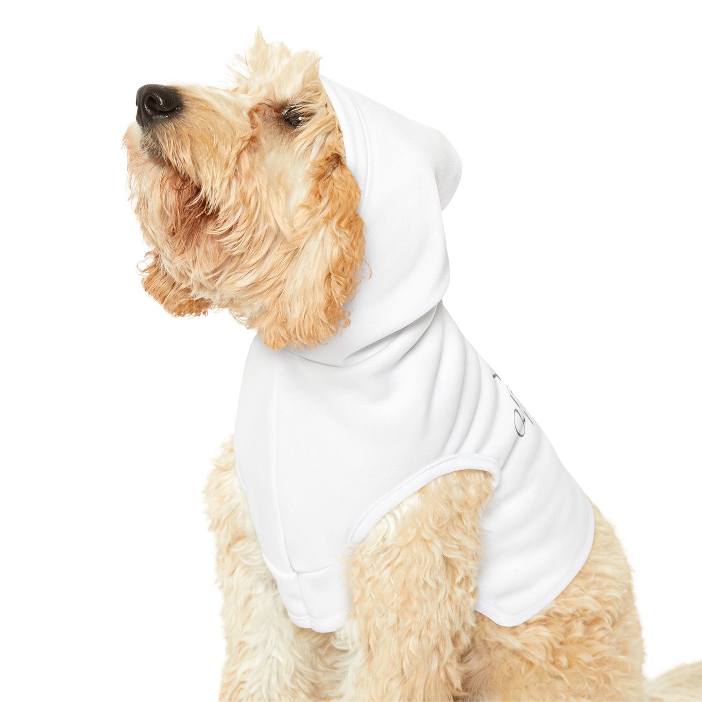 Pet Hoodie with QR Code